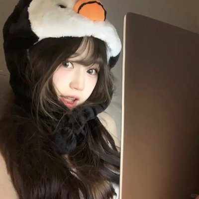 黑狐：希特勒